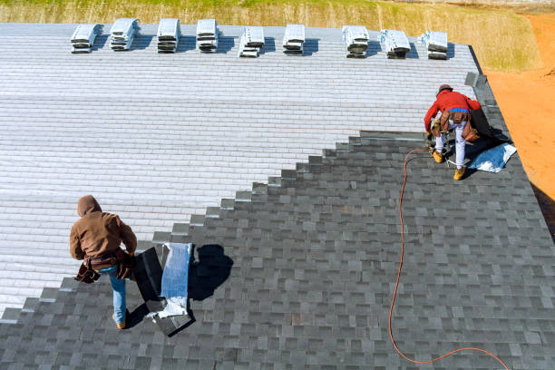 Best Roof Gutter Cleaning  in Johnson City, TN