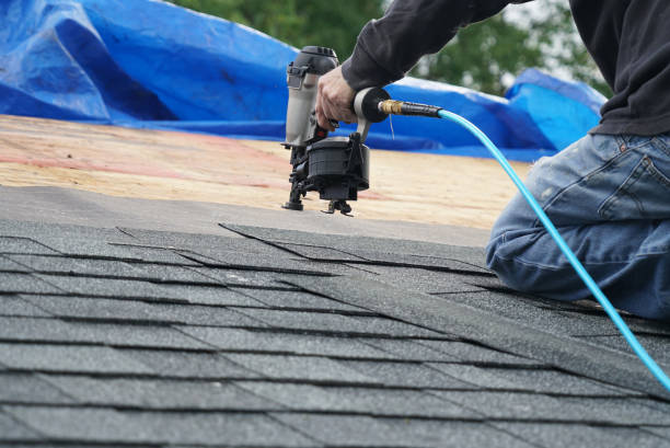 Best Flat Roof Repair Services  in Johnson City, TN
