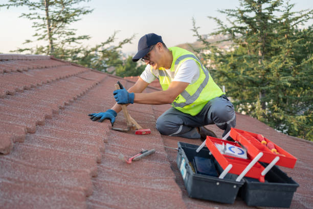 Roof Gutter Cleaning in Johnson City, TN