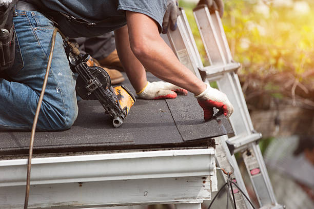 Best Roof Maintenance Services  in Johnson City, TN