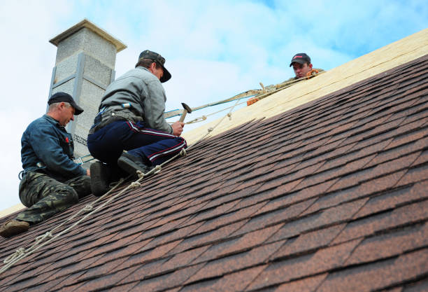 Best Gutter Installation and Roofing  in Johnson City, TN