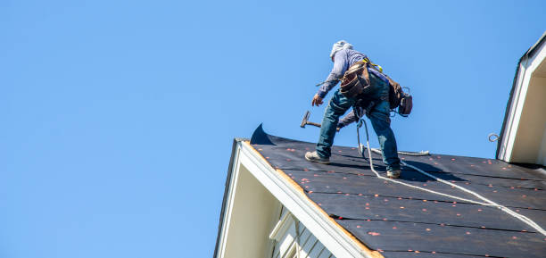 Best Flat Roof Repair Services  in Johnson City, TN